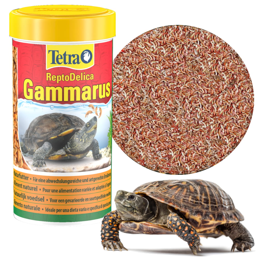 kiełż suszony — kopia.JPG